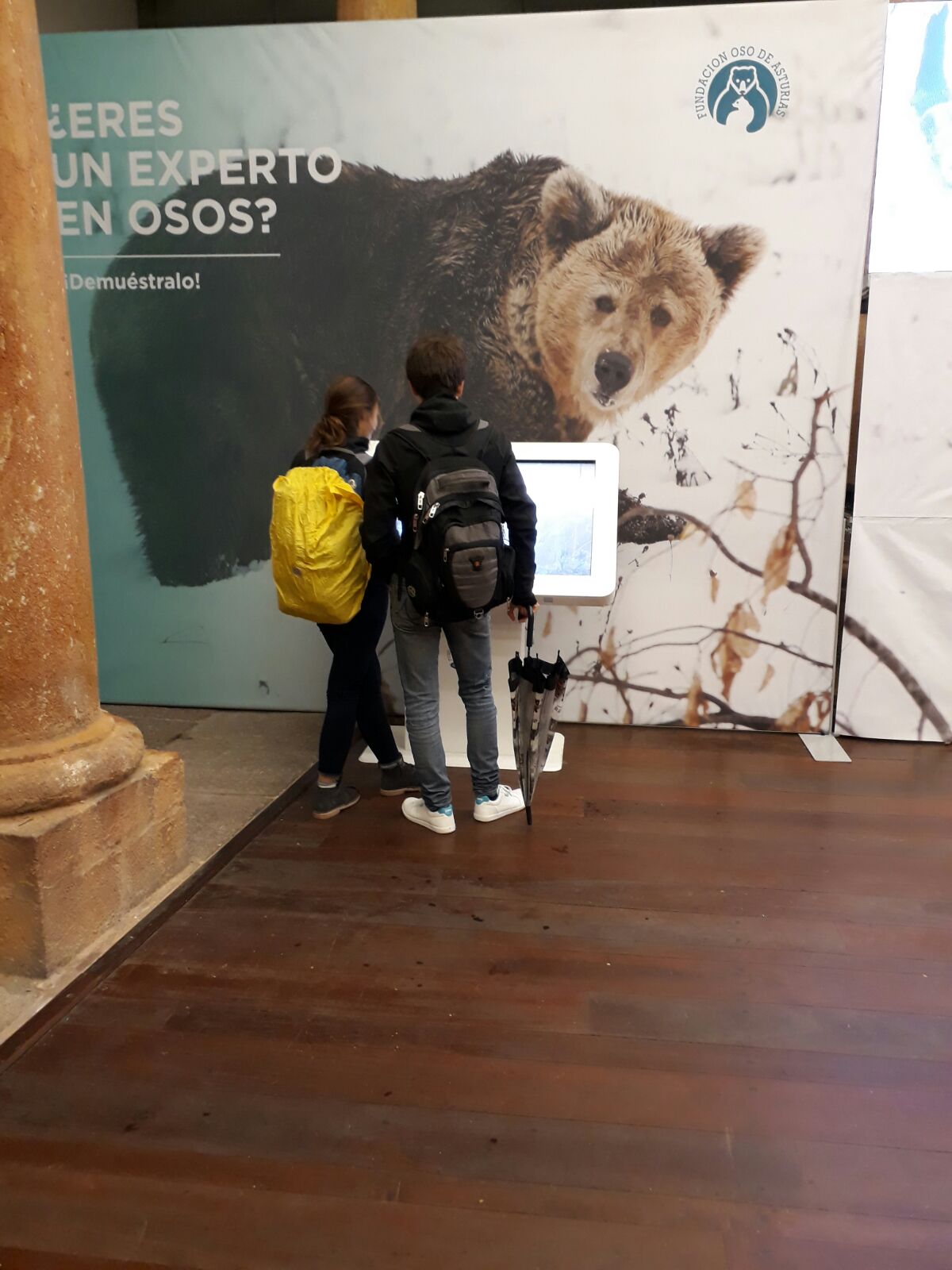 La exposición ‘Osos’ hace parada en Intu Asturias